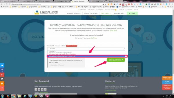 링크콜라이더_directory_submission_2