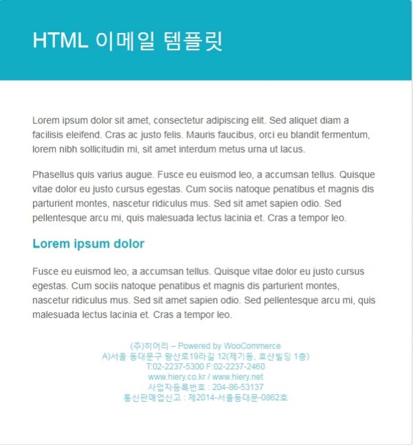 이메일 템플릿 예시