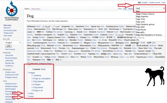 위키미디어 이용방법