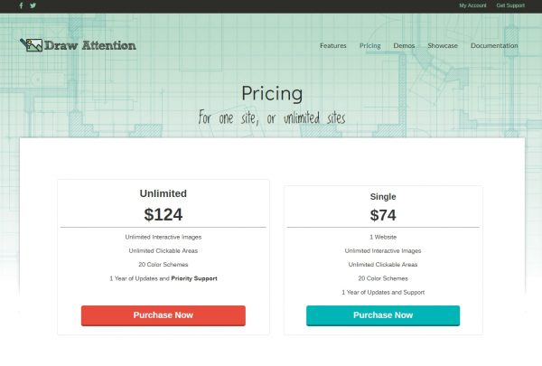 Draw Attentions plugin_가격