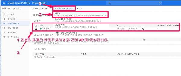 maps static api_api key 생성