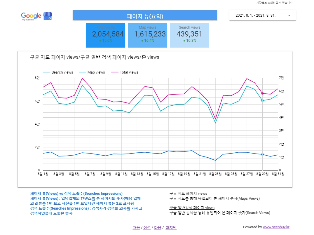 구글지역정보의 탁월한 성과-페이지 뷰-요약
